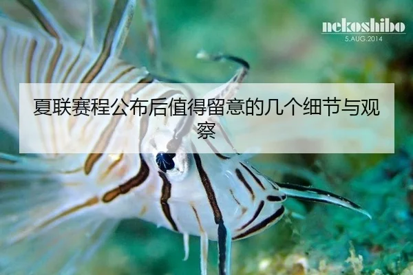 夏联赛程公布后值得留意的几个细节与观察